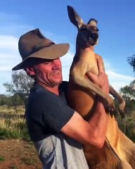 Kangaroo Jack is Growing Up