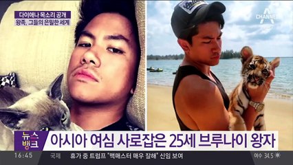 다이애나 목소리 공개…“사생활” vs “역사자료” / 다이애나비 영상 공개에 영국 왕실은 묵묵부답 / 브루나이 압둘 마틴 왕자, 훈훈한 외모에 주목