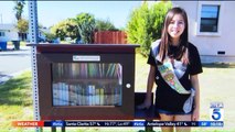 Thief Steals Little Free Library Built by California Girl Scout