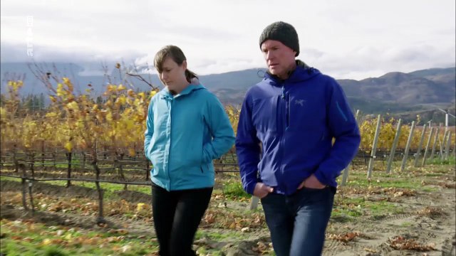 Canada, le vin des Grands Lacs