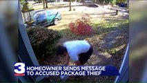 Homeowner Makes Generous Offer to Package Thief