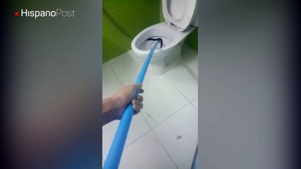 Download Video: Ir al baño en Tailandia es peligroso, pues te puede salir una serpiente de la poceta