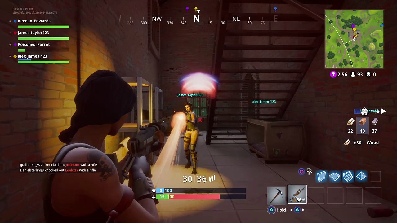 Fortnite_Team Killers