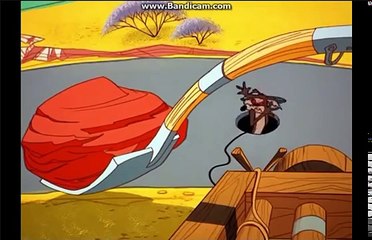Wile E Coyote And Roadrunner Best Moments Part 2