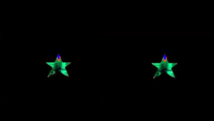 BitDW alternate beginning