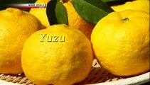 Another... YUZU! - Trails to Tsukiji - YUZU (NHK WORLD TV)