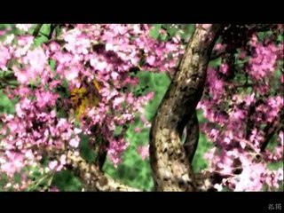 [고전게임무비][PS2] 마그나 카르타 - 진홍의 성흔 - OP-VWCkpMymK7c