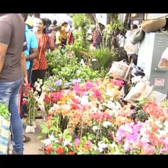 Galiff street pet market kolkata !!!