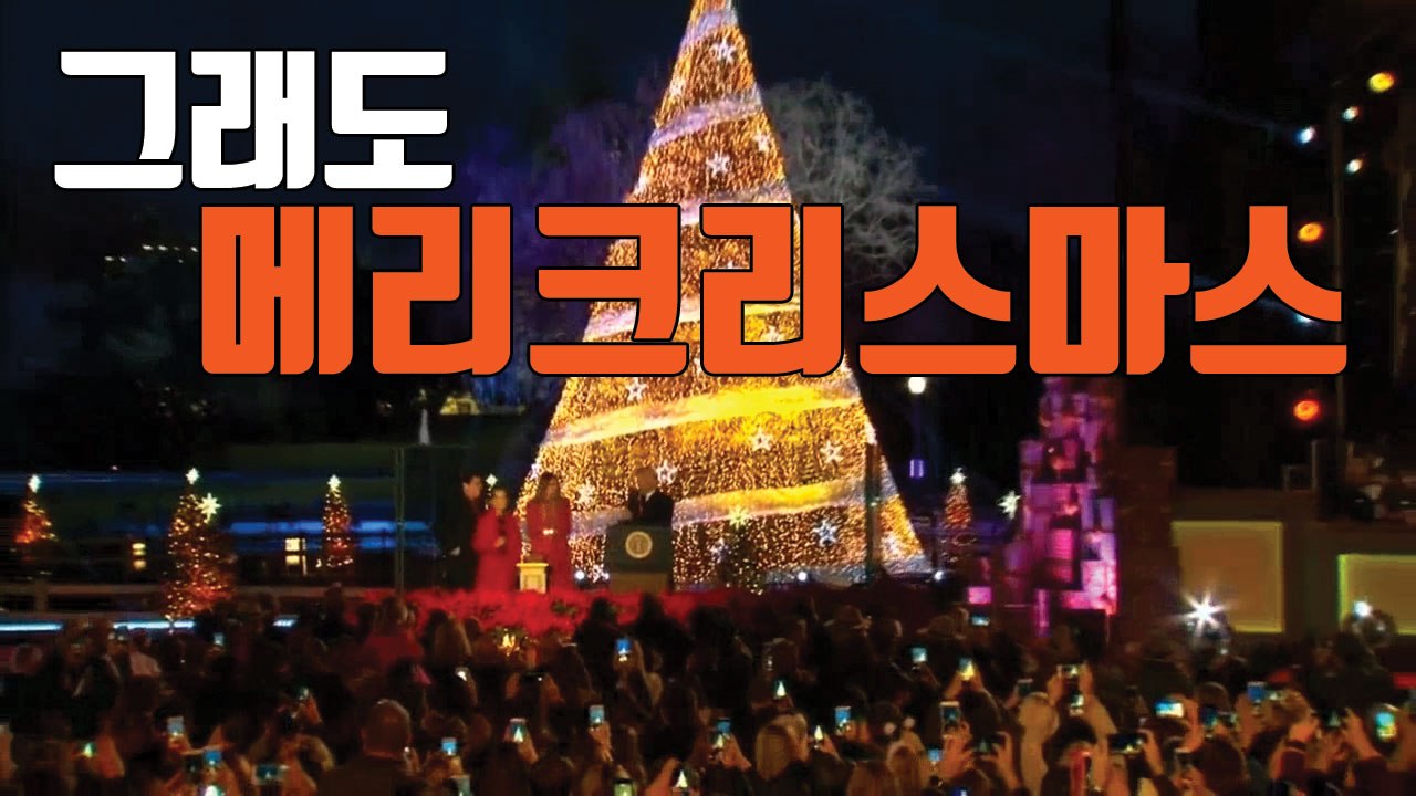 [자막뉴스] 지구촌 곳곳 화려한 크리스마스 점등식 / YTN