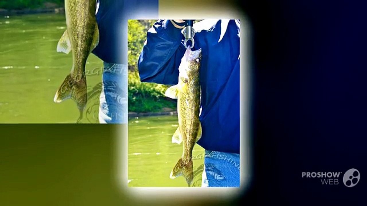 Fishing lures online