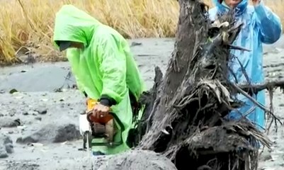 Petugas Bersihkan Material Lahar Dingin Gunung Agung