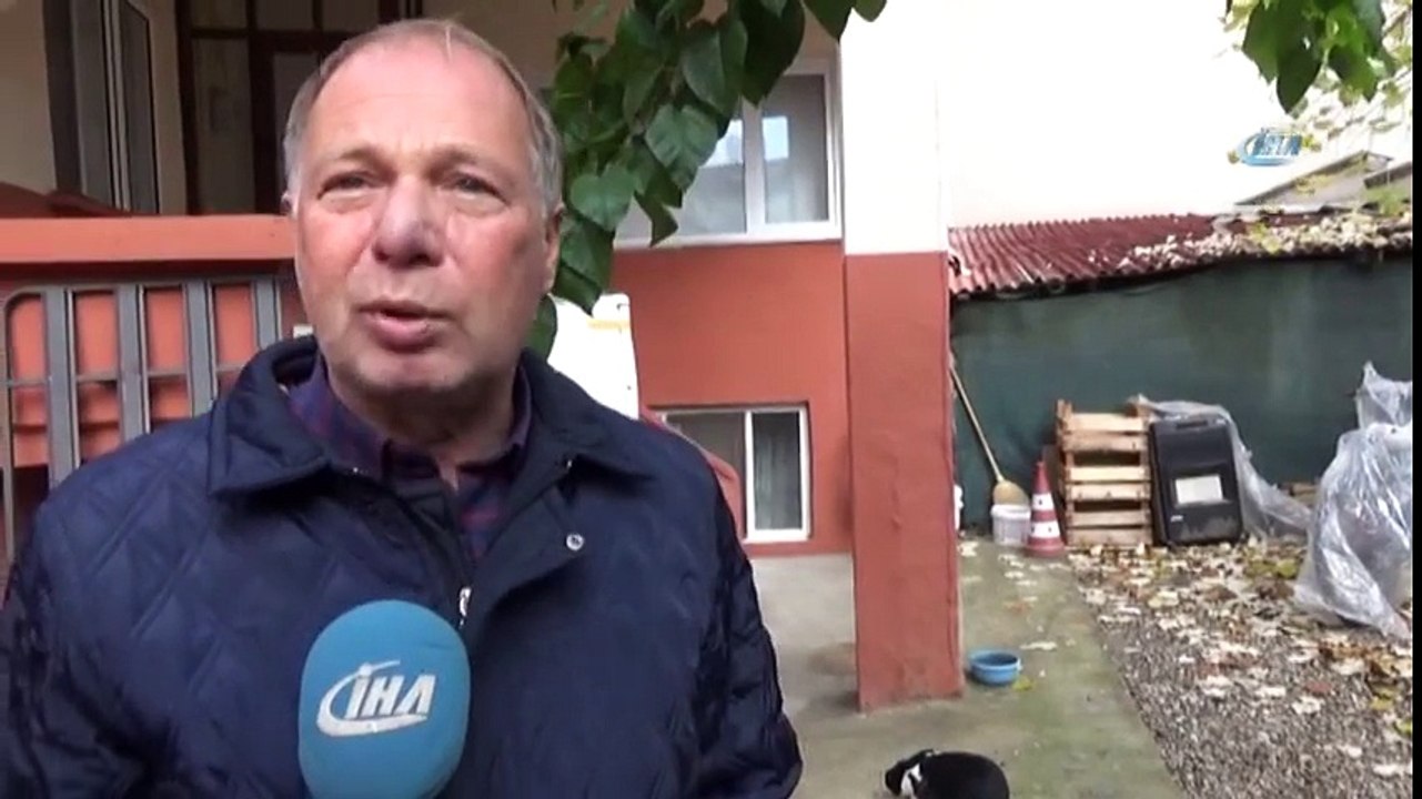 Tavşan İle Kedinin Dostluğu Görenleri Şaşırtıyor