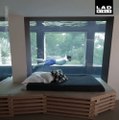 Une maison Air BNB avec une piscine/aquarium de 30m de long... Le rêve