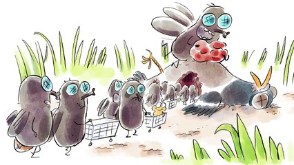 Tu mourras moins bête - Entomologie forensique