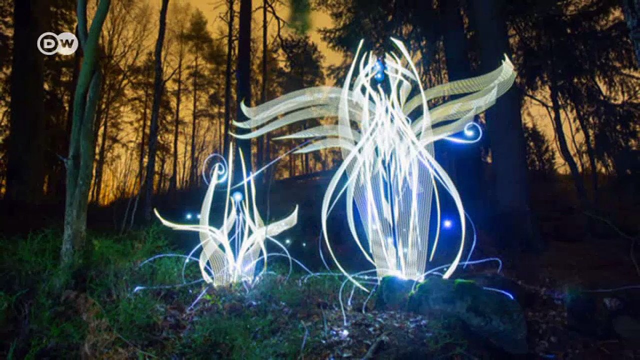 Lichtgemälde aus Finnland | DW Deutsch