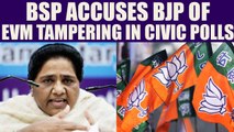 UP Civic polls 2017 : BSP once again accuses BJP of EVM tampering | Oneindia News