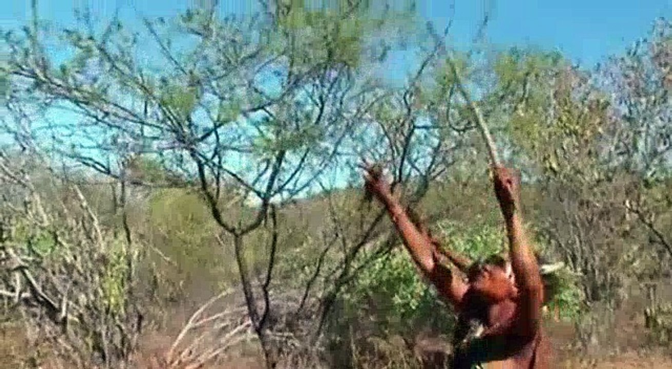 bizarre foods s06e14 kalahari 720p x264-momentum