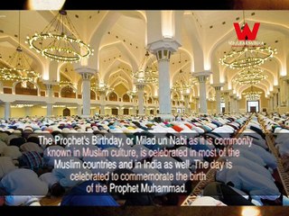 Eid Special Pacakage || Eid Milad un Nabi || Wikileaks4india