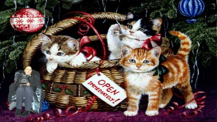 monday fun with Laptop and green screen