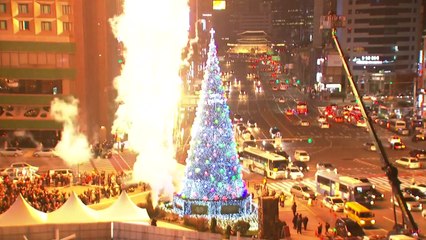 서울시청 광장에 '높이 23m' 성탄 트리 점등 / YTN