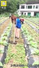 Innovative ideas - Farming