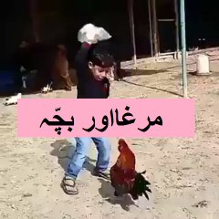Aao Urdu Seekhein, Learn Urdu for kids class 2 and beginners, L  56,Urdu poem  مُرغا اور بچہ