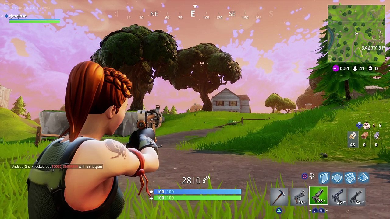 Fortnite_20171202044942