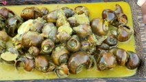 Wow!!! VIP Khmer Food - Beautiful Girl Curry Snail Recipe Near Buffalo at Buk Mountain _VILLAGE FOOD