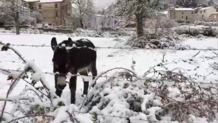 Fortes chutes de neige dans le Cortenais