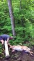 2 québécois sauvent une biche coincée dans un tronc d'arbre