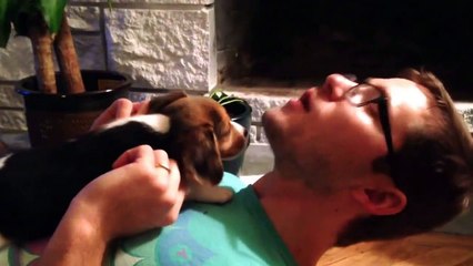 Ce chiot et son maître hurlent avec une synchronisation parfaite