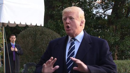 Trump insists there was ‘no collusion’ with Russia