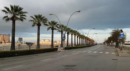 Barletta: spunta montagna di legno sul lungomare "è il falò dell'Immacolata Concezione"