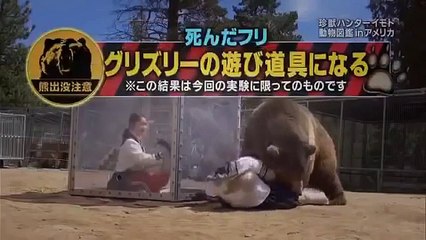 おもしろ動画集 - おもしろ - クマとクレイジー日本のゲームショー。  面白い日本人は人#japanesepranksで失敗＆いたずら