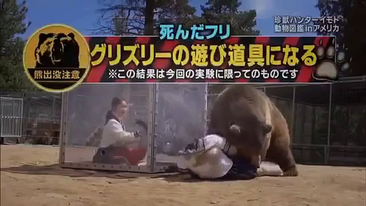 おもしろ動画集 - おもしろ - クマとクレイジー日本のゲームショー。  面白い日本人は人#j...