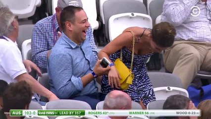 Fails Of The Week _ Cricket - Balls_ Falls_ & Kevin Pietersen | Daily Funny | Funny Video | Funny Clip | Funny Animals