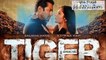 Dil Diyan Gallan Song | Tiger Zinda Hai | Salman Khan | Katrina Kaif