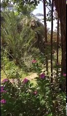 رحلتنا بإنها طيبة للخدمات الطبية لمستشفى الهدى بالقوات المسلحة سناب أحمد التركي Snap   askt1248