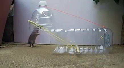 Wonder full Trick To Catch the rat