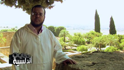 حكايات اندلسية،المنصورابن ابي عامر مؤدب اعداء الاندلس