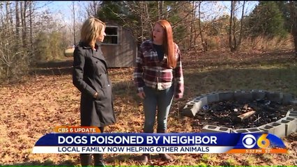 Tải video: Family Whose Dogs were Poisoned by Neighbor Are Now Helping Other Animals