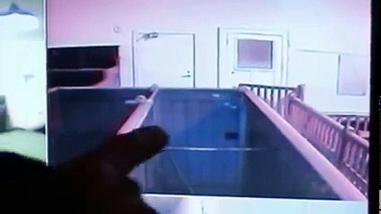 Ghost Hunters International S02E11 Tasmania Death Sentence