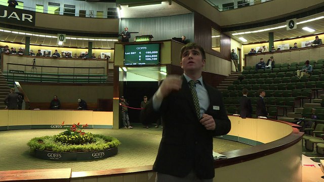 Ireland's racehorse industry voices Brexit concern