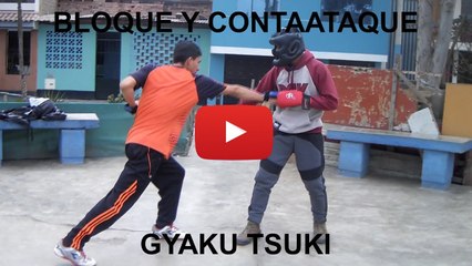 CONTRAATAQUES IDEAL PARA COMBATE ( IDEAL MATCHING FOR COMBAT)