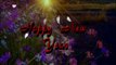 Latest Advance Happy New Year 2018 Animation video,New Year  Wishes,New Year Whatsapp Video,New Year Greetings,gif