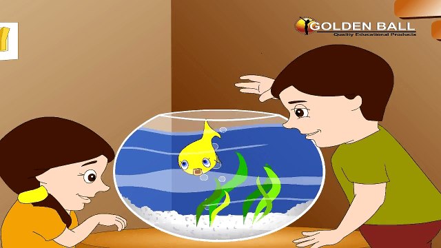 Machli Jal Ki Rani Hai - Hindi Balgeet For Kids - Hindi Rhymes For Children, Hindi Kids Songs