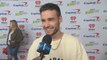 Liam Payne Wants the Perfect Debut Solo Album