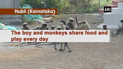 Special Friendship Bond between 18-month-old boy and MONKEYS