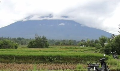 Petani Nekat Memanen Padi di Zona Berbahaya
