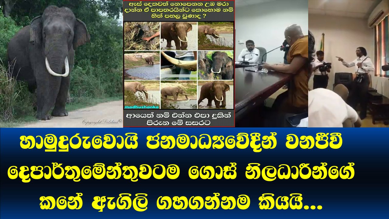 හාමුදුරුවොත් ජනමාධ්‍යවේදීන් වනජීවී දෙපාර්තුනමේන්තුවට කඩාවදී.. බලධාරීන්ට කණේ ඇගිලි ගහගන්නම කියයි